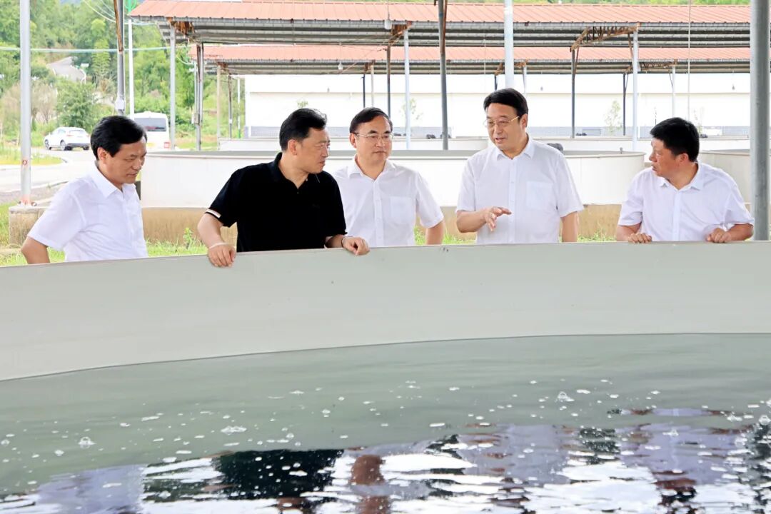 W020260626527063765714_ORIGIN 365英国上市(集团)有限公司-Official website